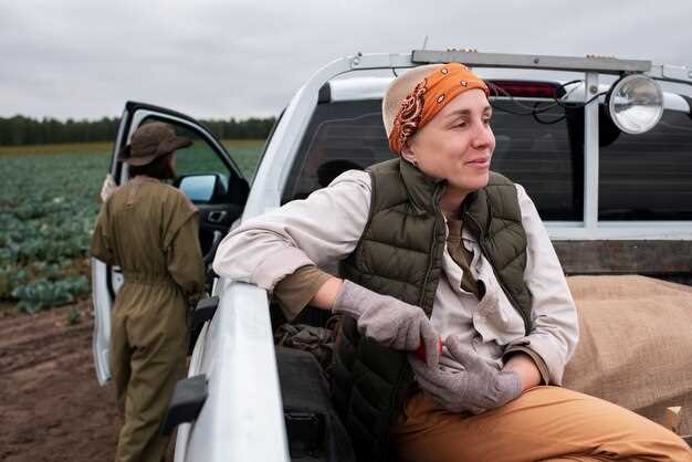 Необходимые инструменты и материалы
