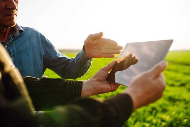 Обновление программного обеспечения ЭБУ: изменение настроек для повышения мощности