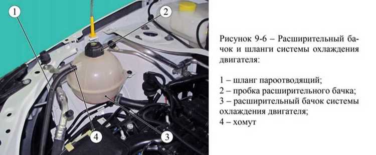 Когда обратиться к специалистам для чистки
