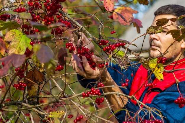 Проверка и замена тормозных колодок