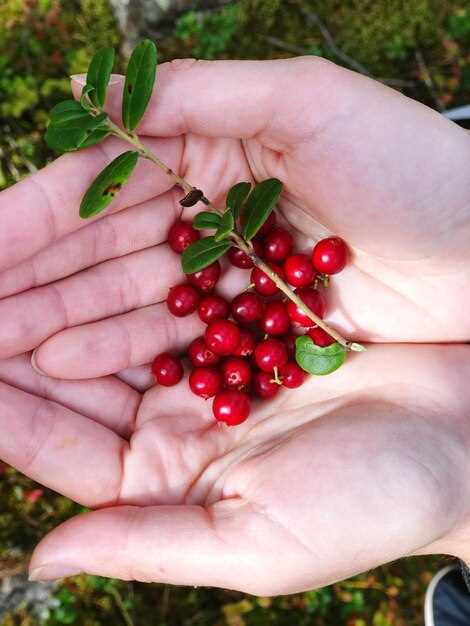 Ремонт и диагностика