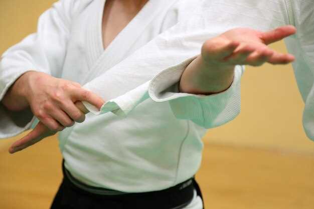 Основы поворотного кулака ока