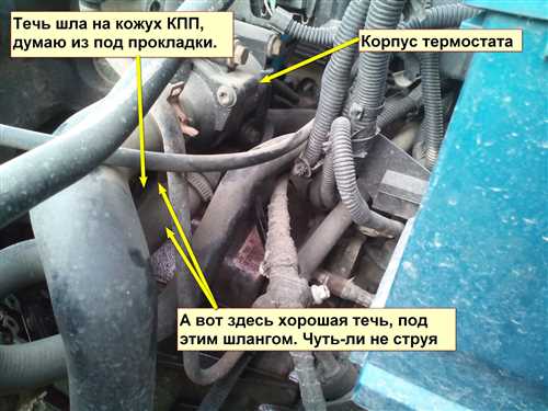 Шаг