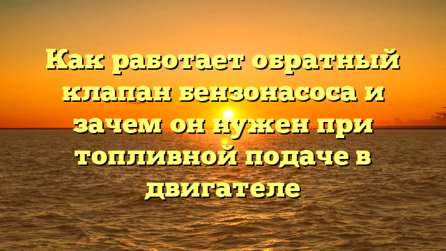 Как работает обратный клапан бензонасоса и зачем он нужен при топливной подаче в двигателе